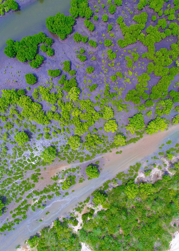 World From Above