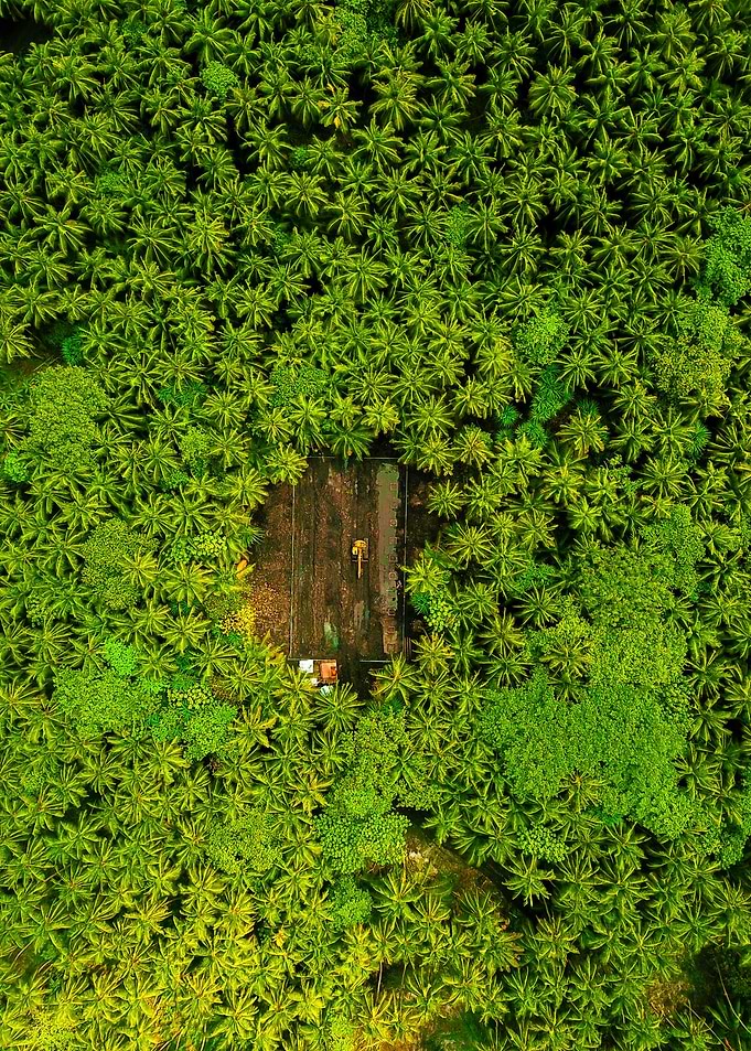 World From Above