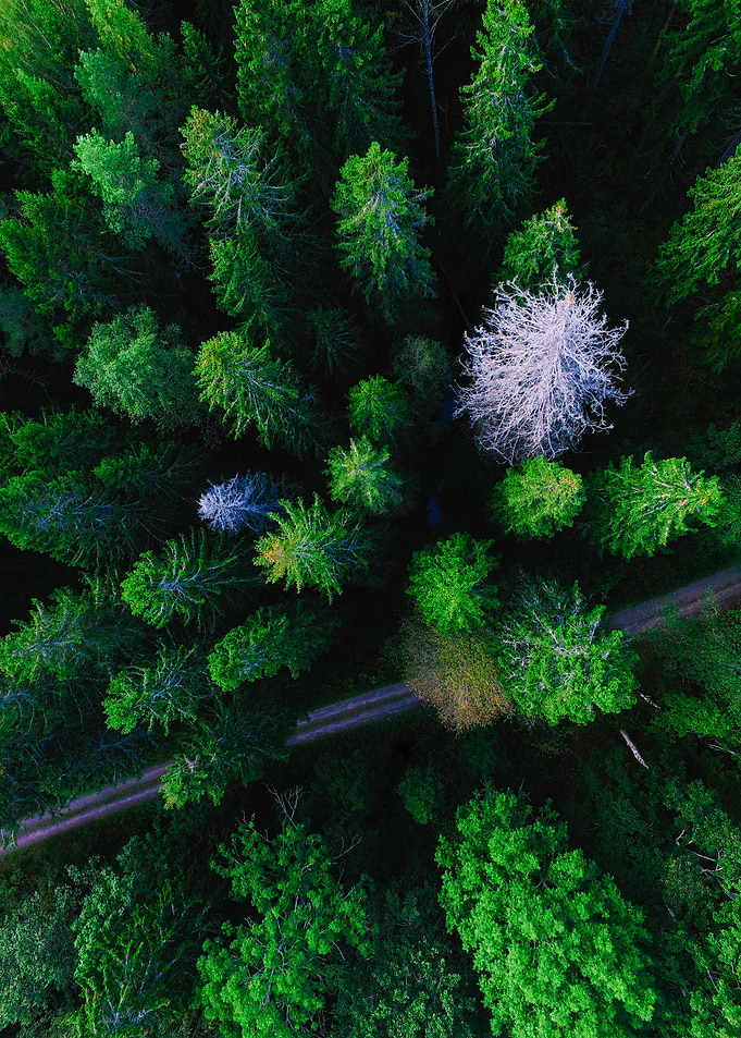 World From Above