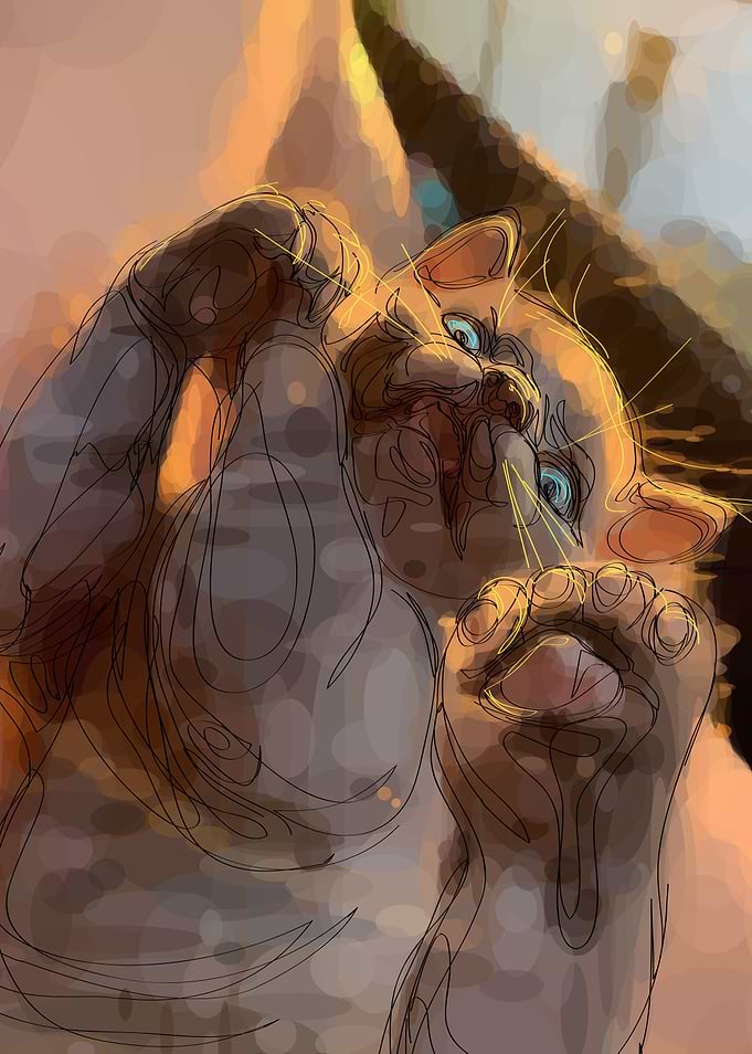 Angry Sunset Kitty