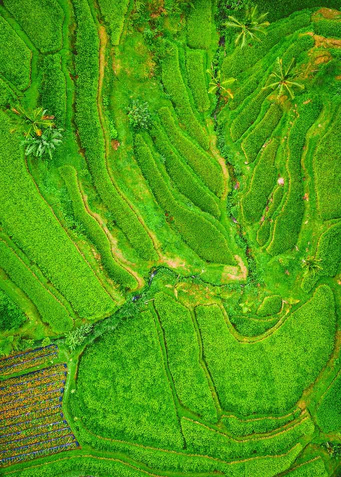 World From Above