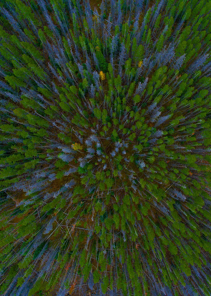 World From Above
