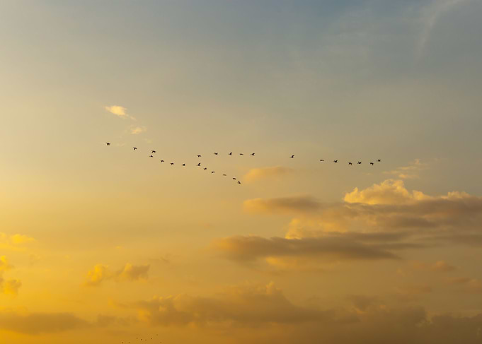Beautiful sunset sky