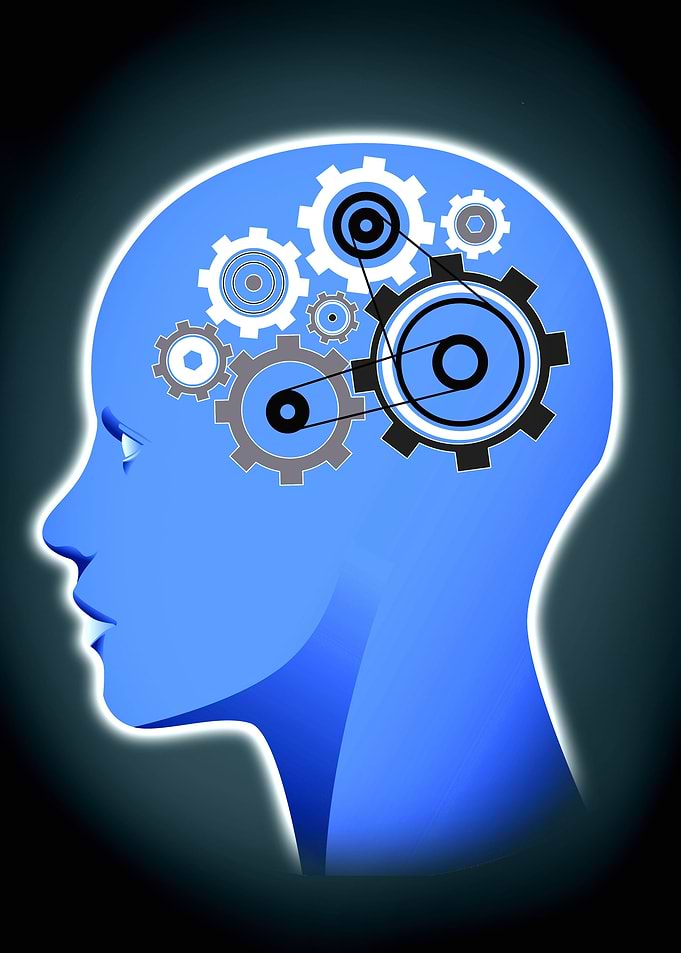 Psychology Mind Gear
