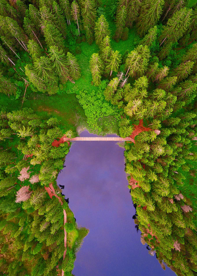World From Above