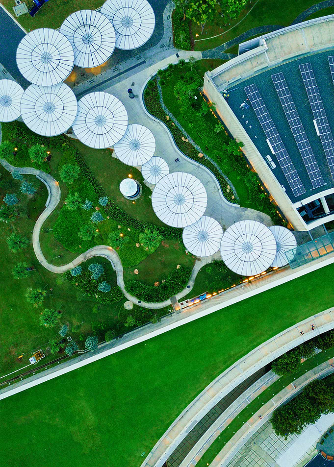 World From Above
