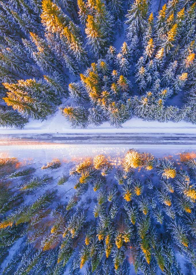 World From Above