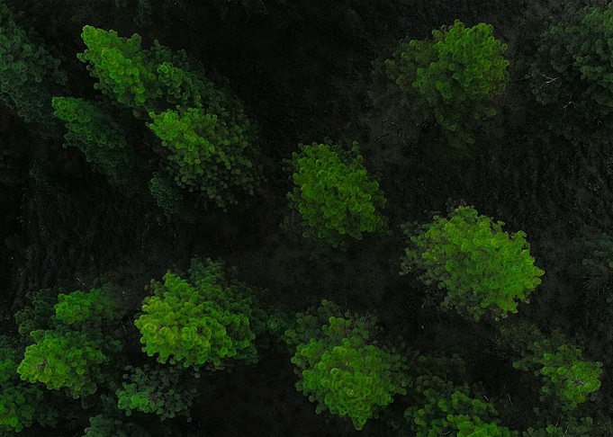 World From Above