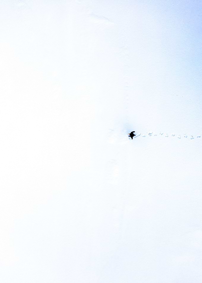 World From Above