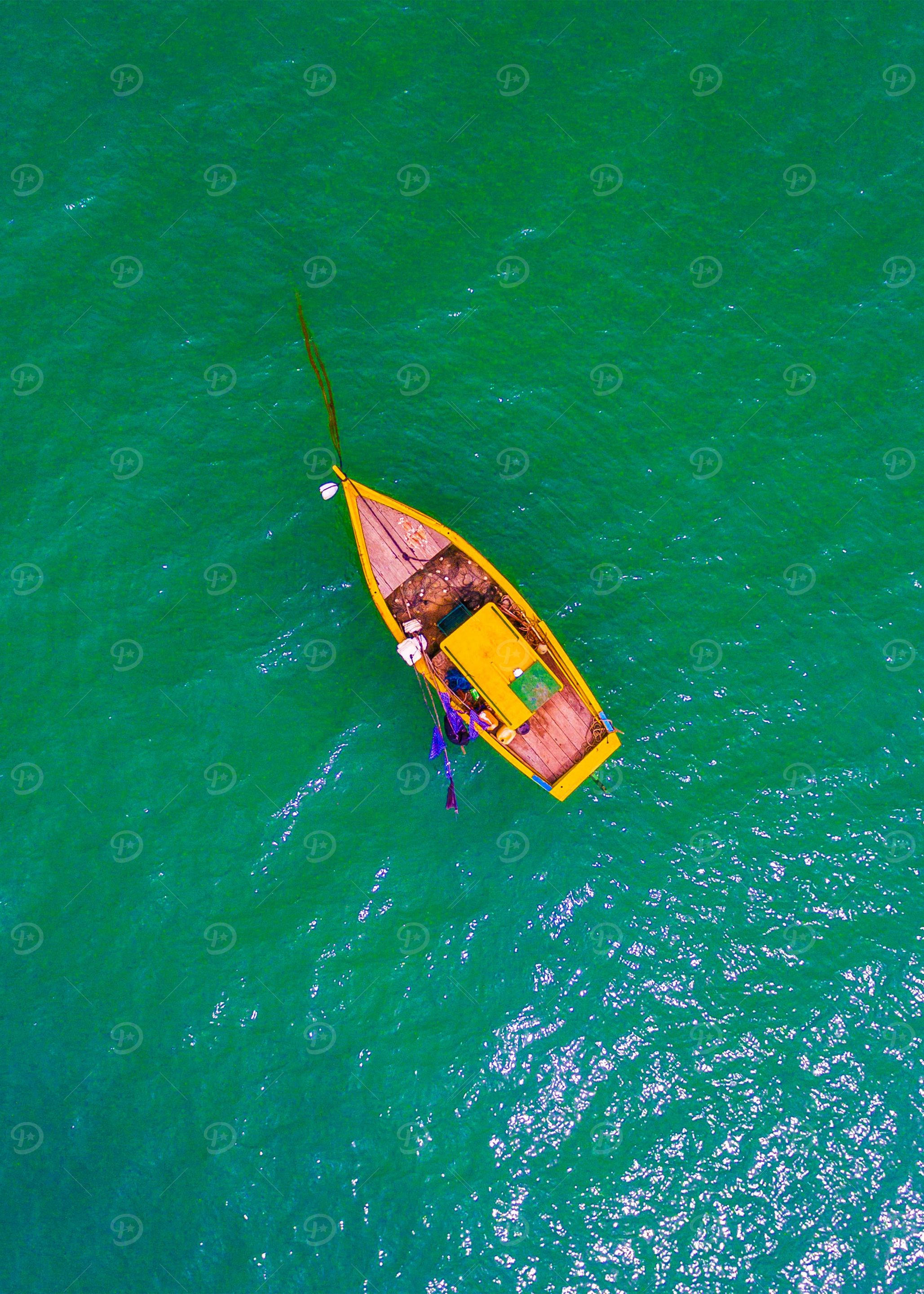 World From Above