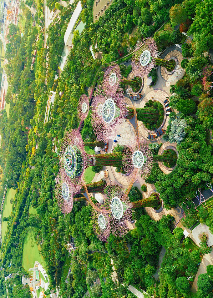 World From Above