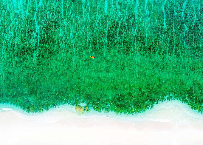 World From Above