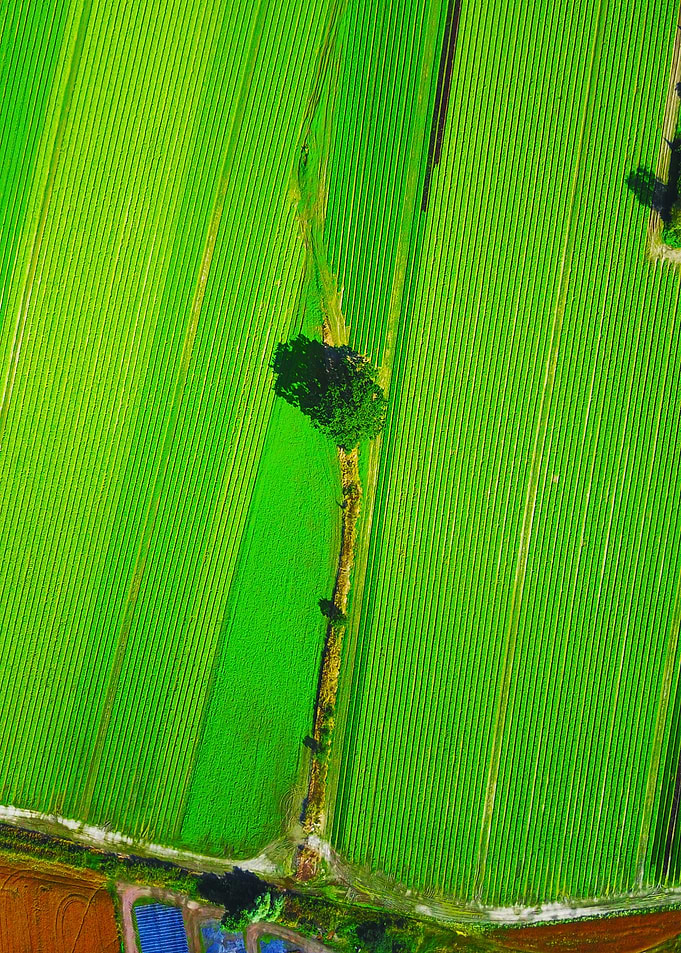 World From Above