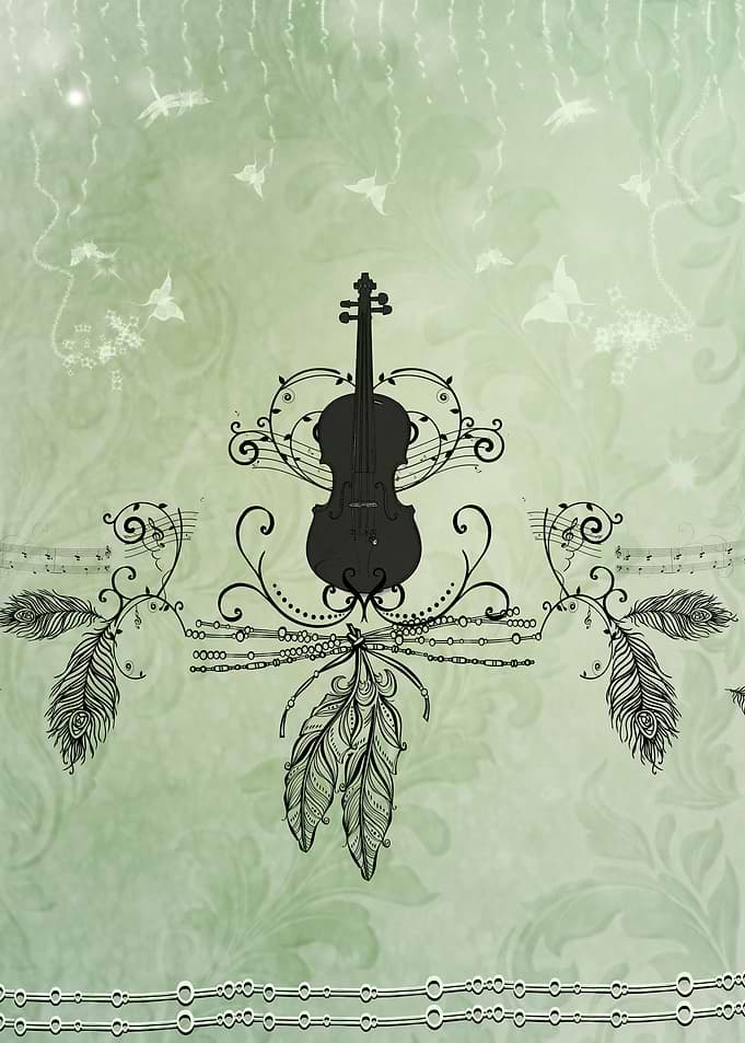 Violin with feathers
