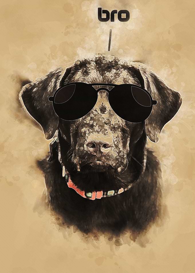 dog wall art Flat coated