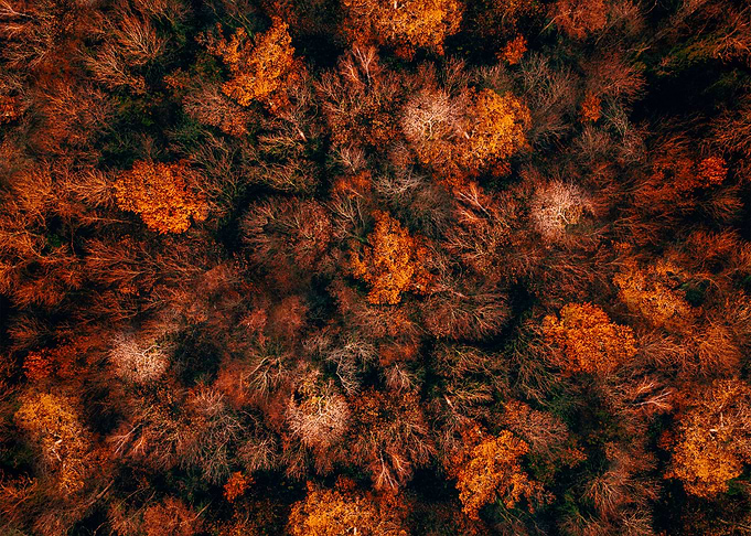 World From Above