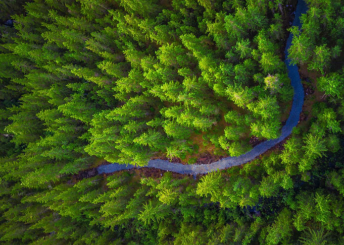 World From Above