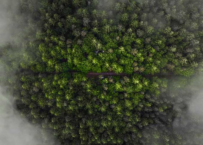 World From Above