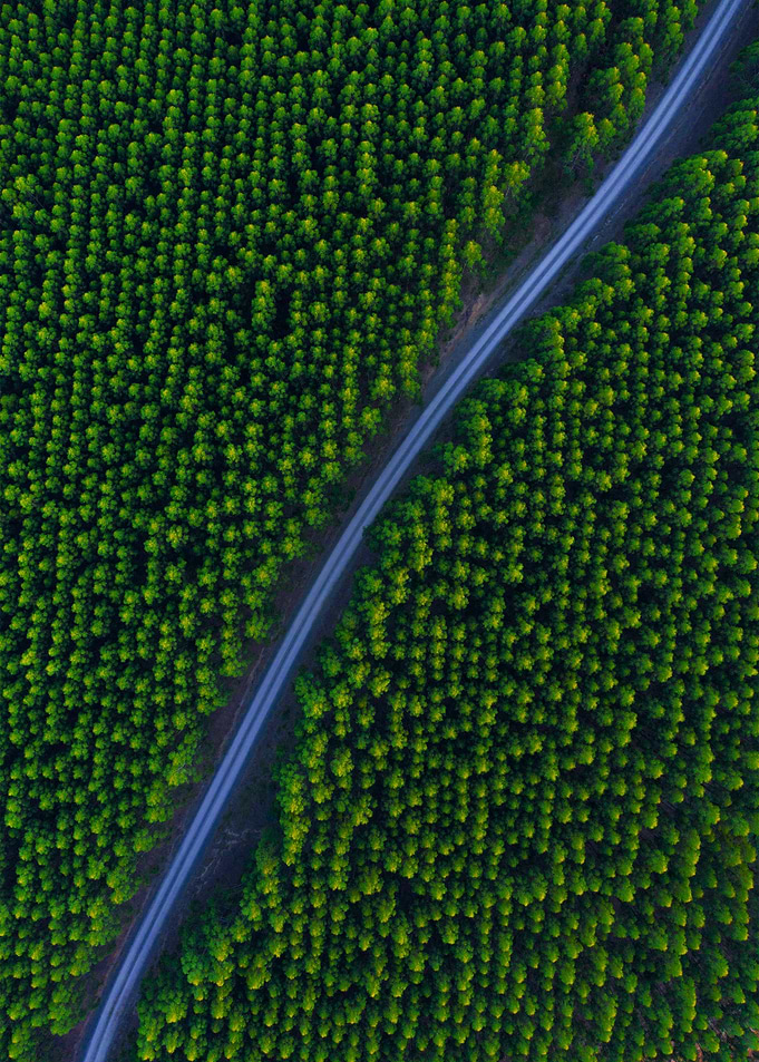 World From Above