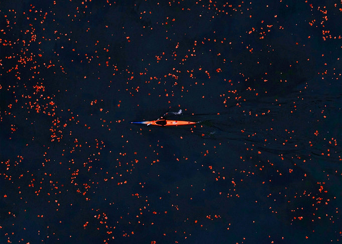World From Above