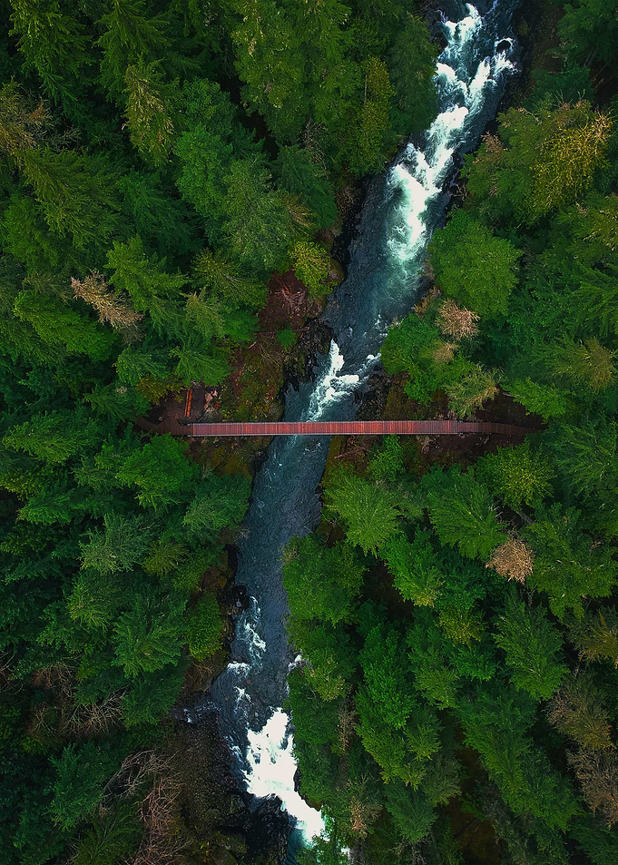 World From Above