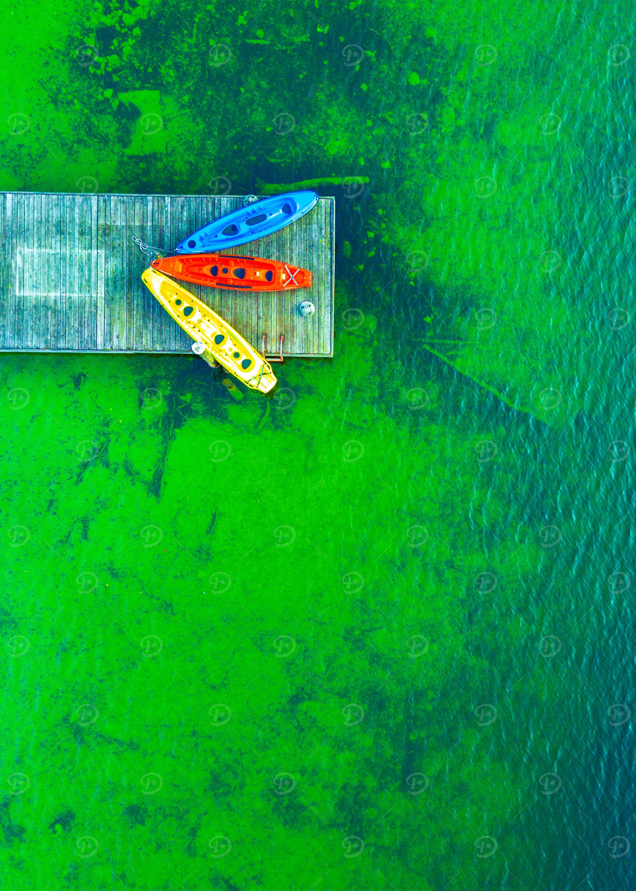 World From Above