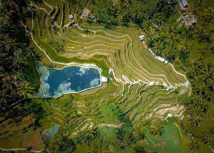 World From Above
