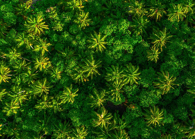 World From Above