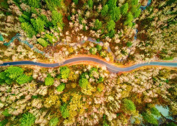 World From Above