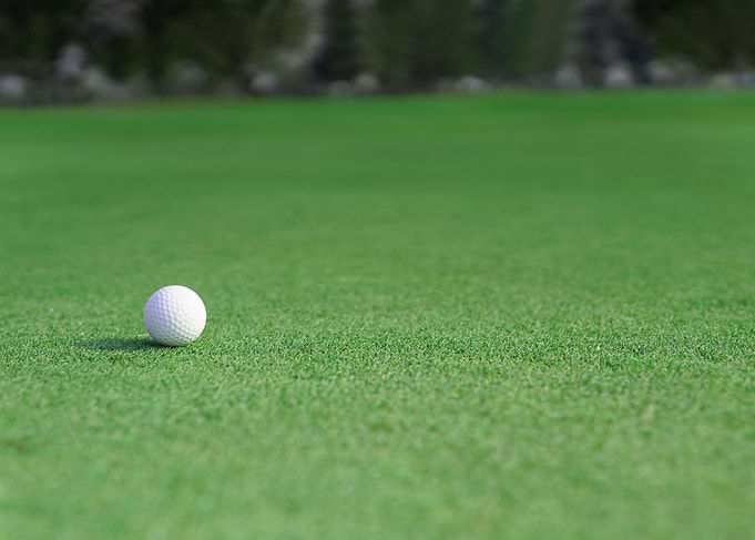 golf ball on a green