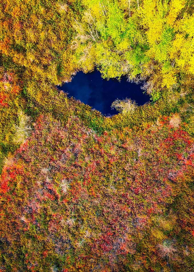 World From Above