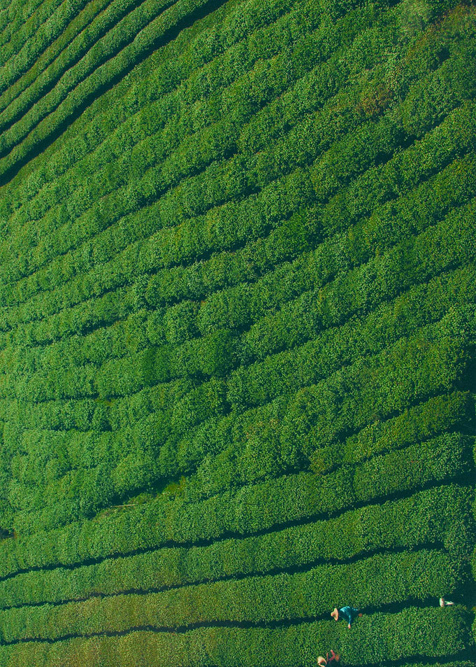 World From Above