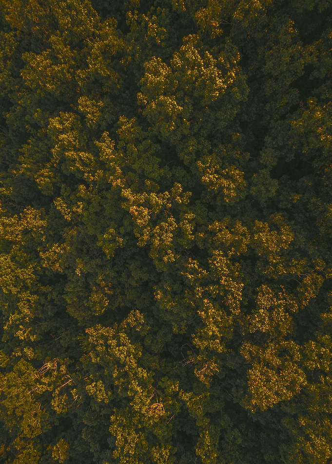 World From Above