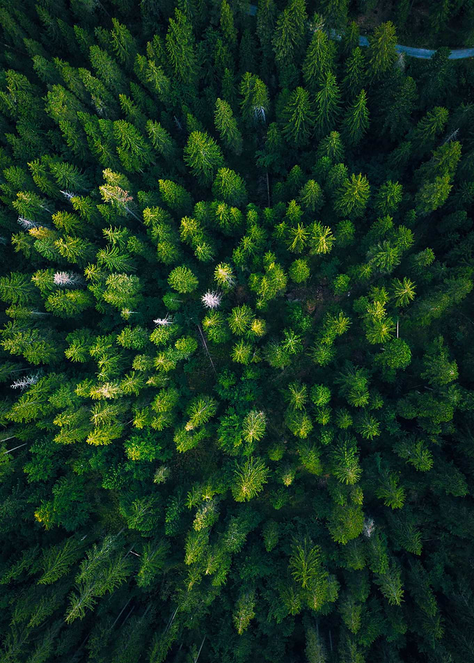 World From Above