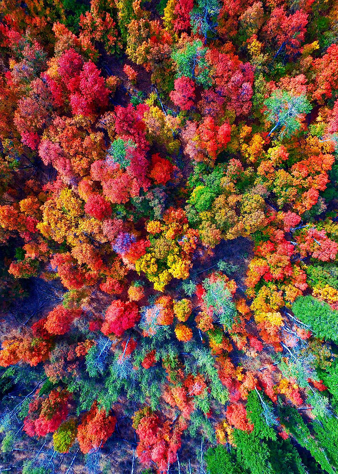 World From Above