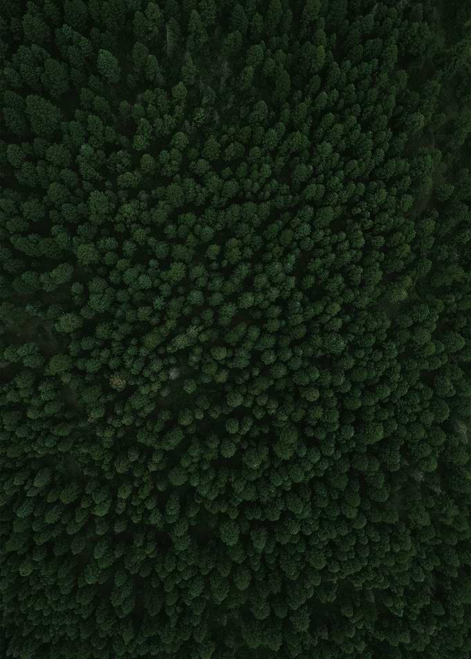 World From Above