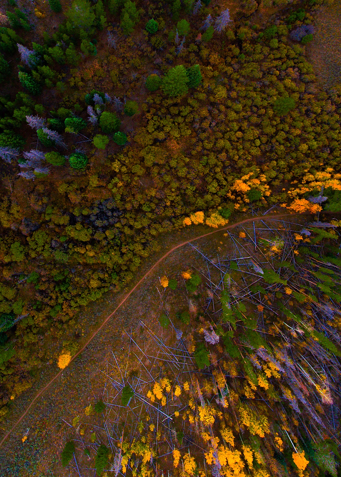World From Above