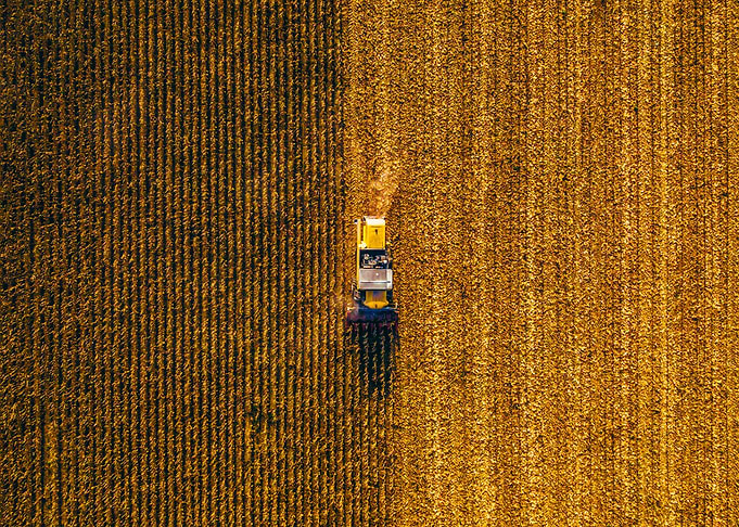 World From Above