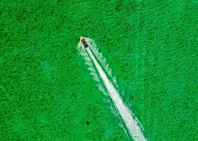 World From Above