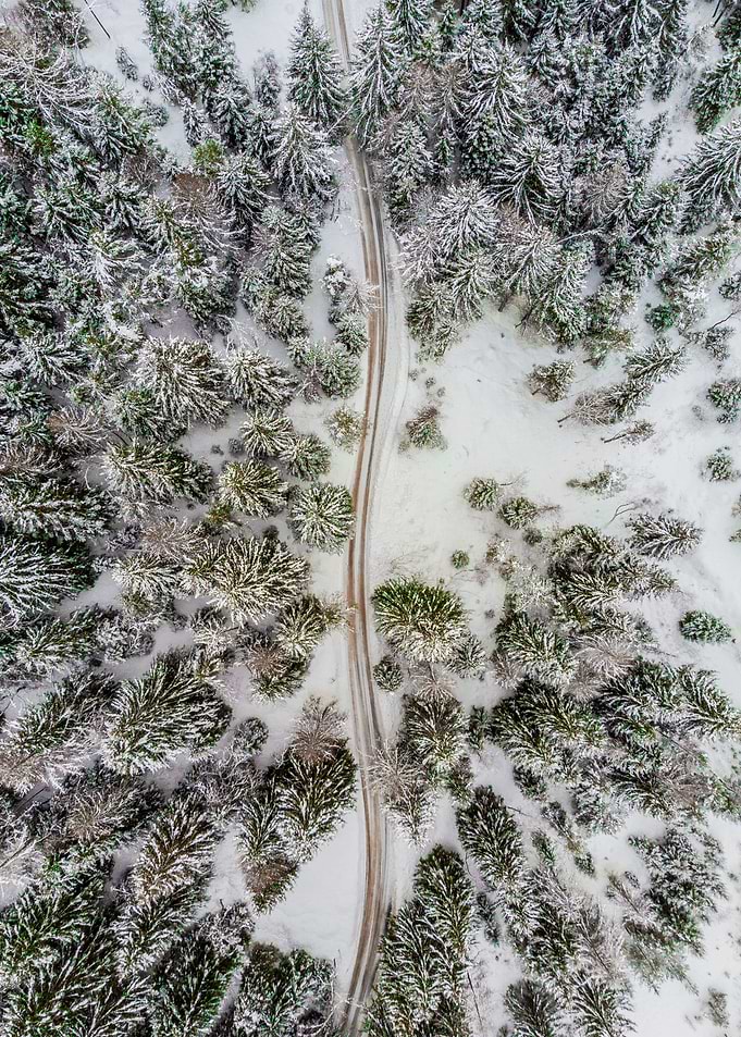 World From Above