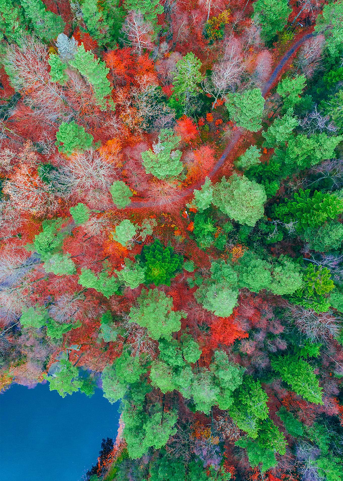 World From Above