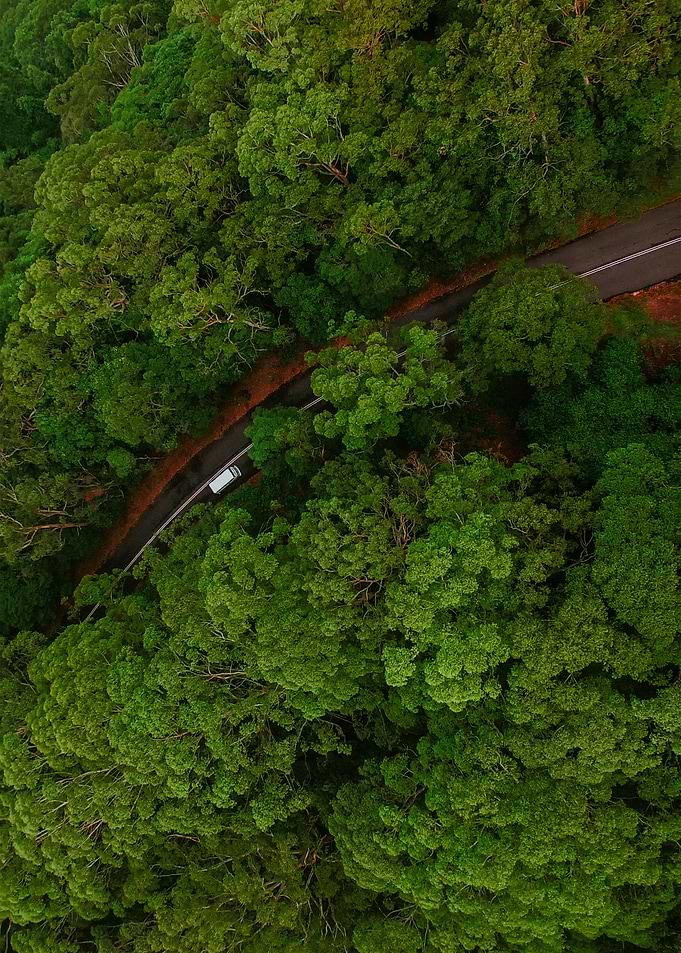 World From Above