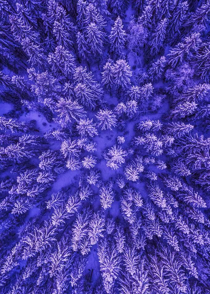 World From Above