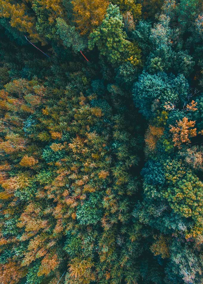 World From Above