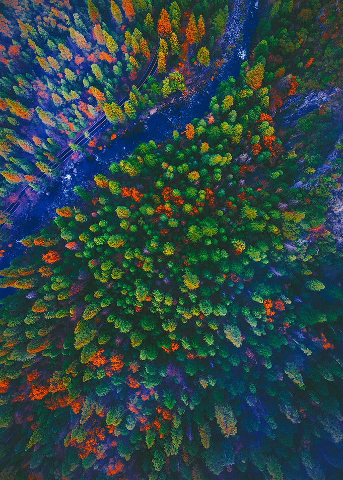 World From Above