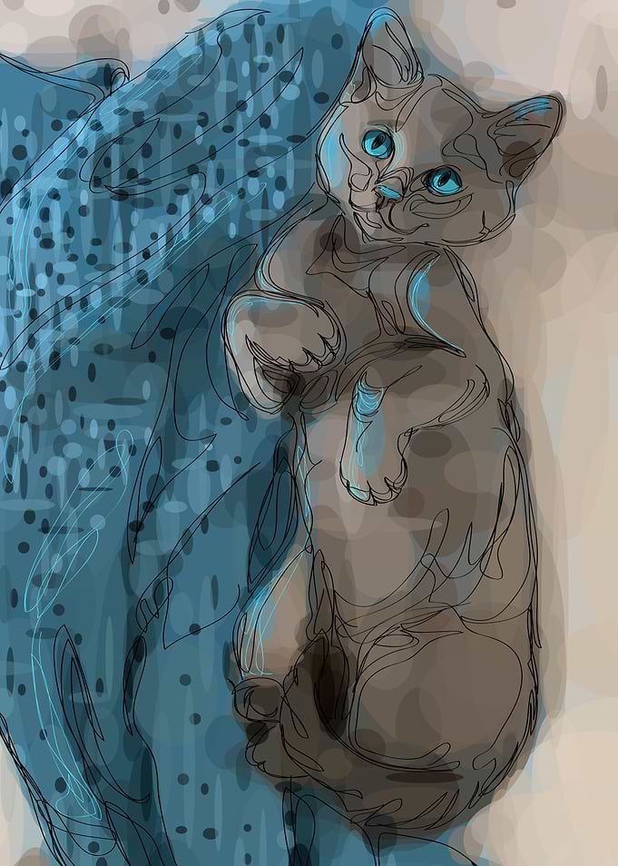 Blanky Kitty