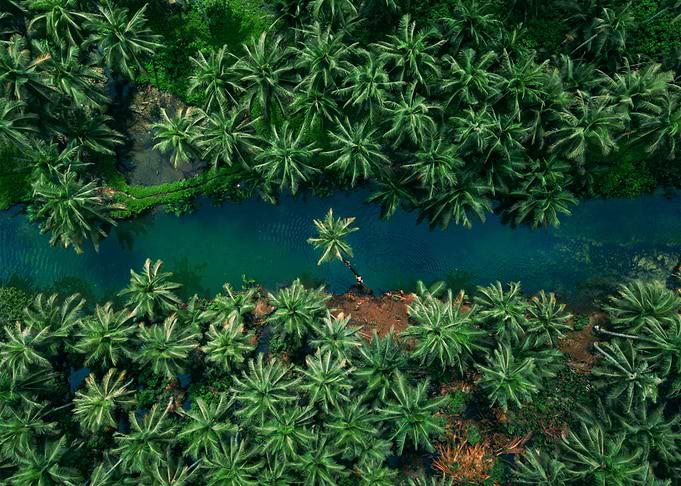 World From Above
