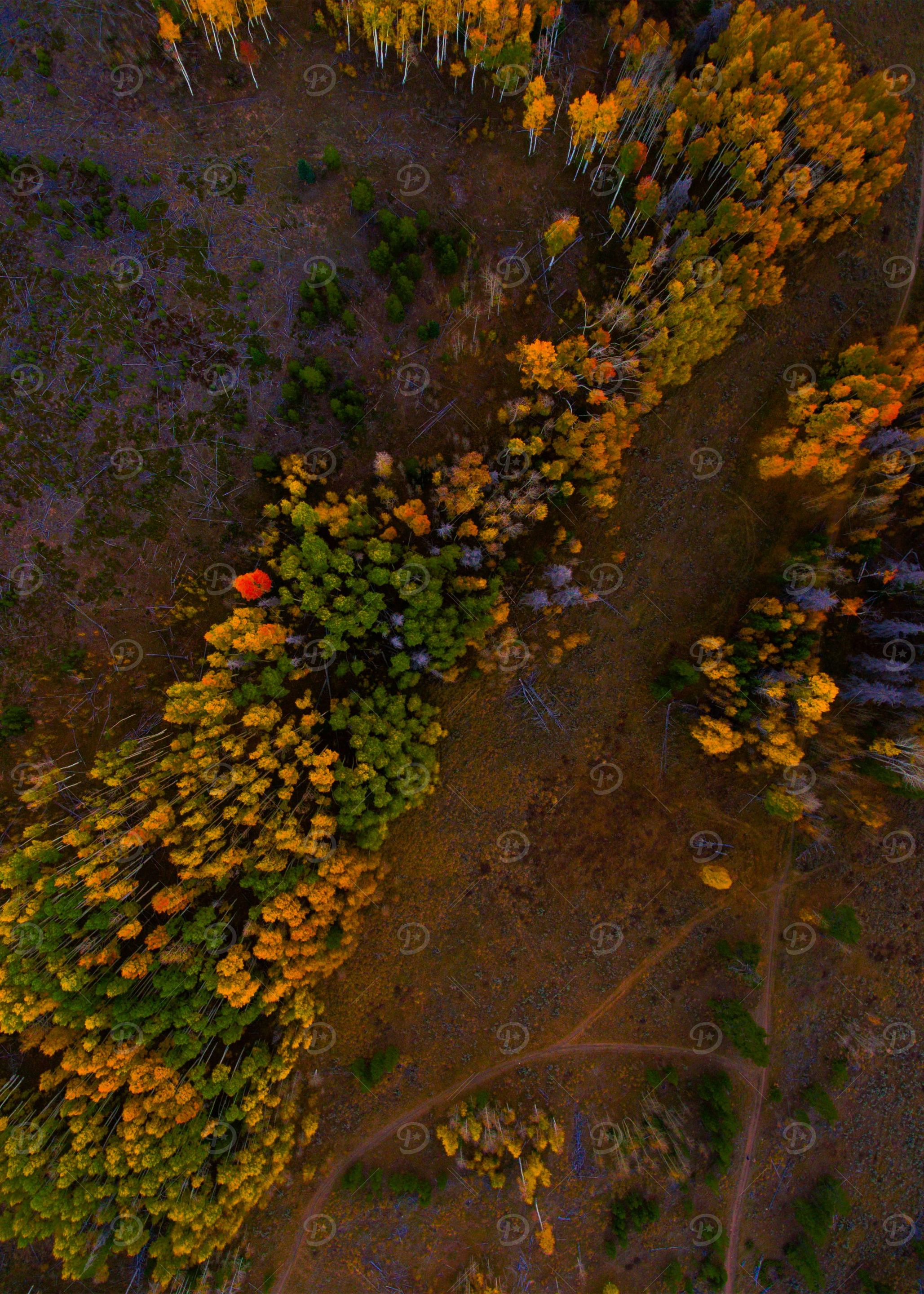 World From Above