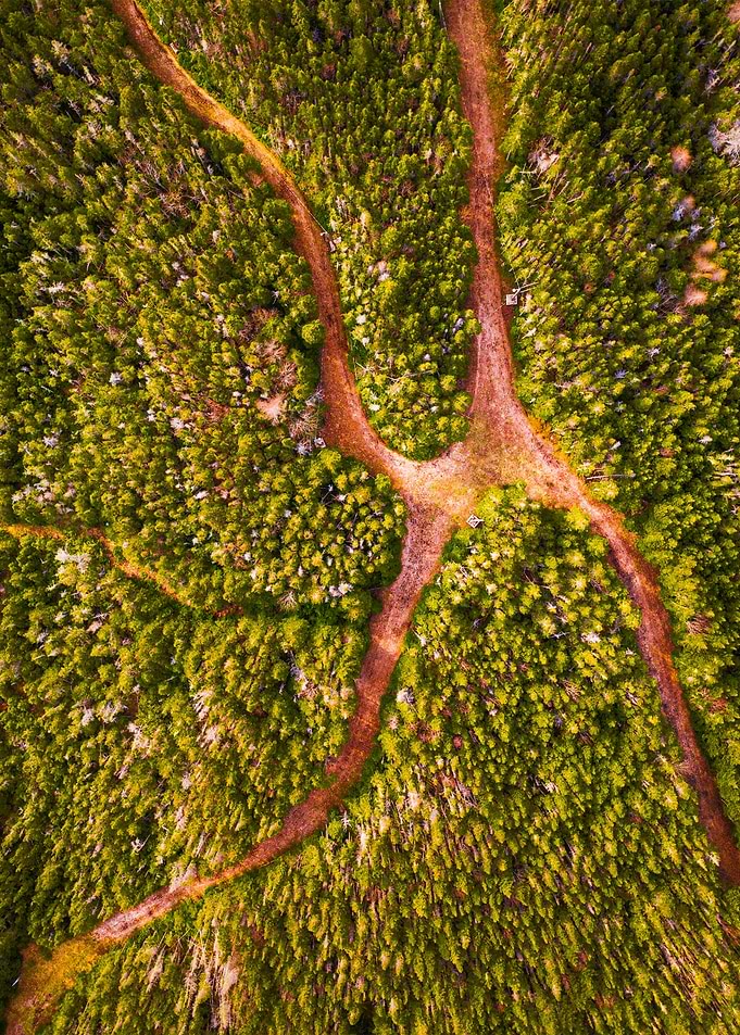 World From Above