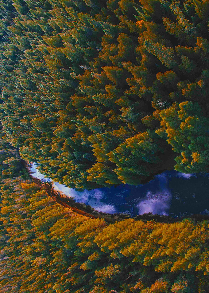 World From Above